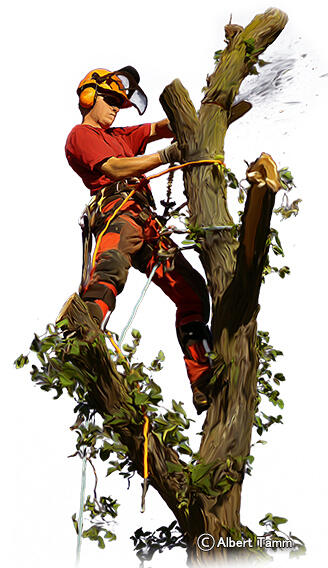 Woodwork Tree Service Logo